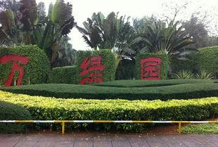 万绿园命案天涯爆料视频,天涯爆料视频揭露惊人真相 第1张 万绿园命案天涯爆料视频,天涯爆料视频揭露惊人真相 第1张